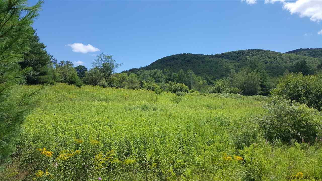 East Hollow Road Petersburgh, NY 12138 - Photo 1 of 4 Photo 1