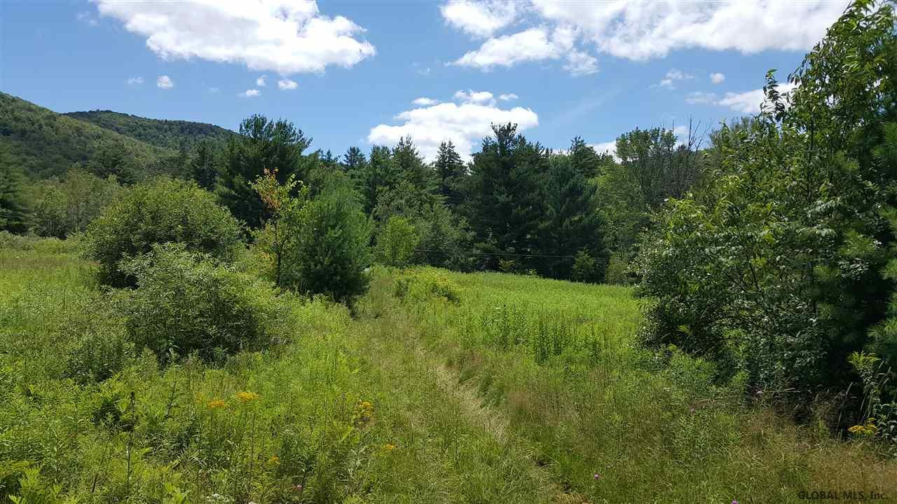 East Hollow Road Petersburgh, NY 12138 - Photo 3 of 4 Photo 3