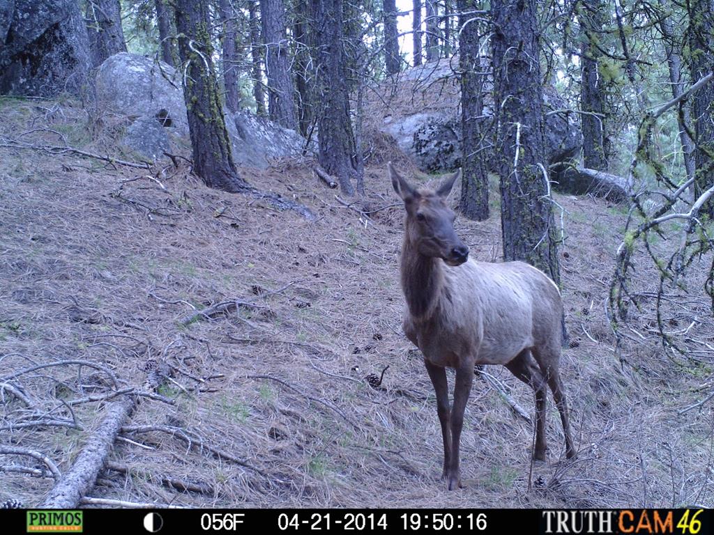 L16-b1 Lantern Way, Unit 16 Cascade, ID 83611 - Photo 29 of 39