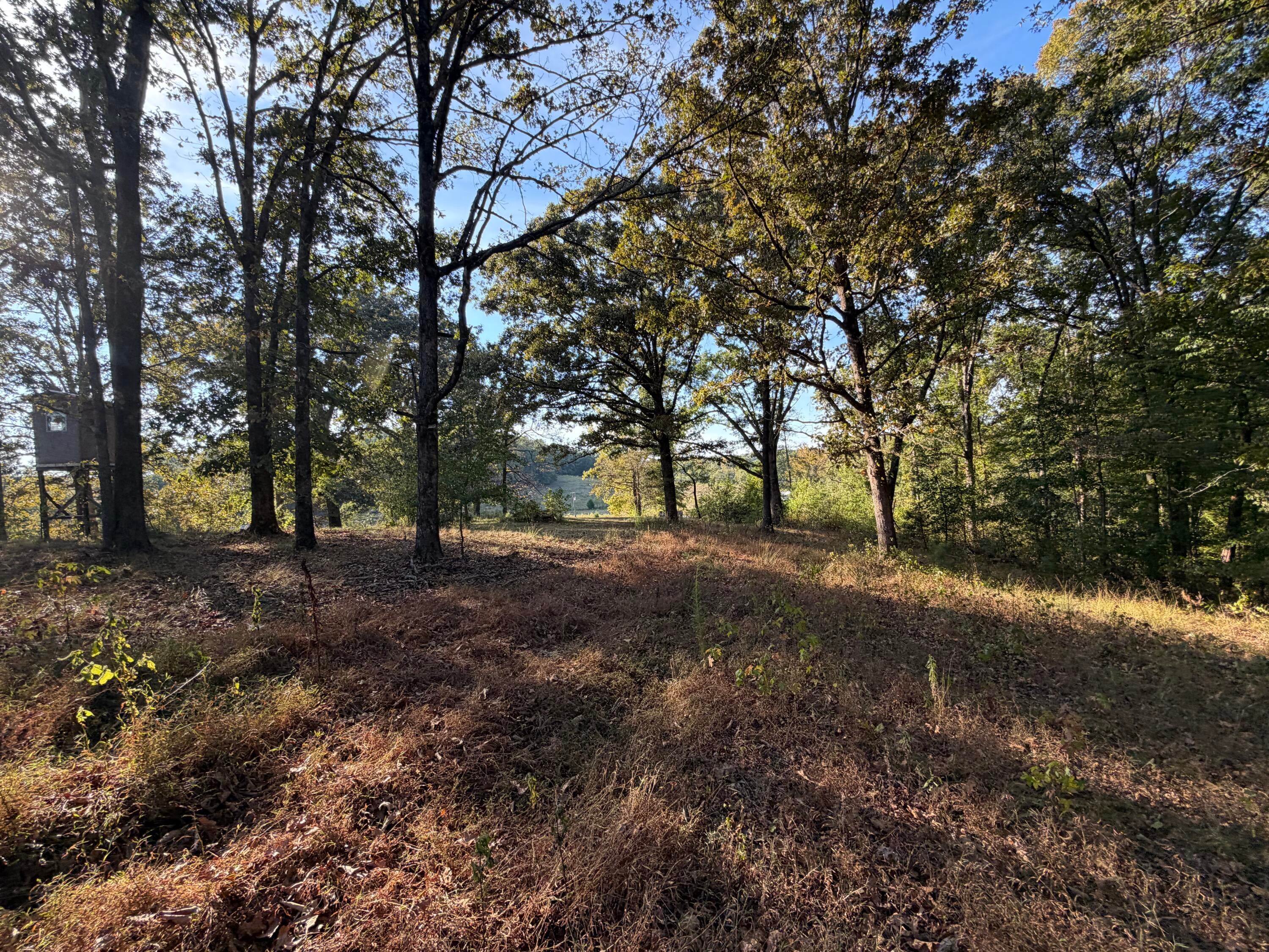 2036 State Line Road Northeast Golden, MS 38847 - Photo 45 of 82 Gallery Image 45