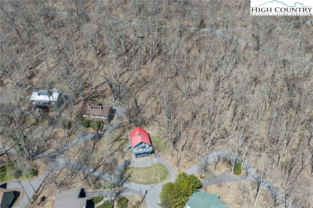 431 Cliffside Lane Seven Devils, NC 28604 - Photo 44 of 46 a view of lot of trees