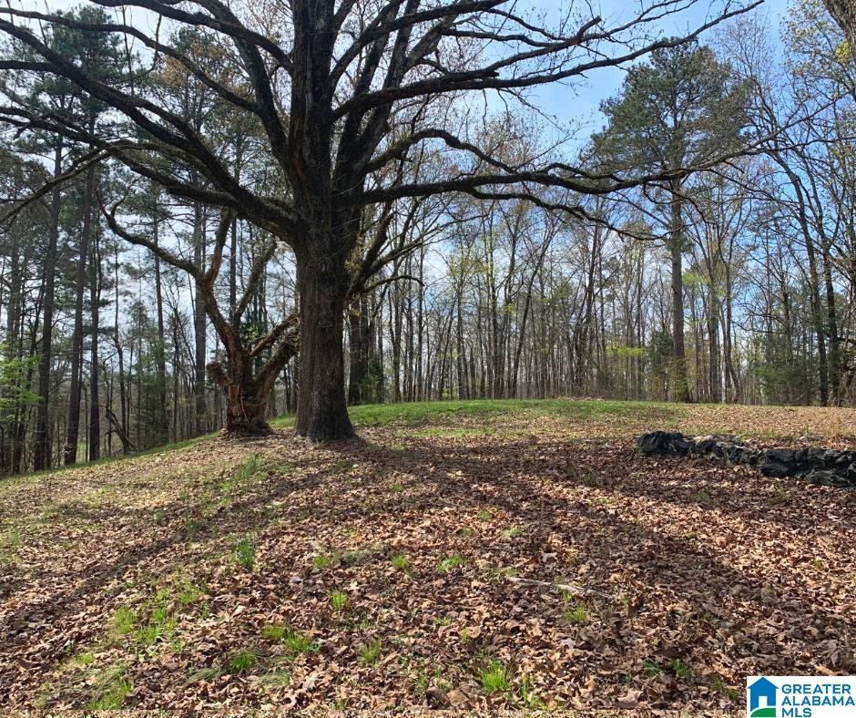 48-126 Hoot Owl Hollow Road, Unit 48 & 126 Ohatchee, AL 36271 - Photo 8 of 8