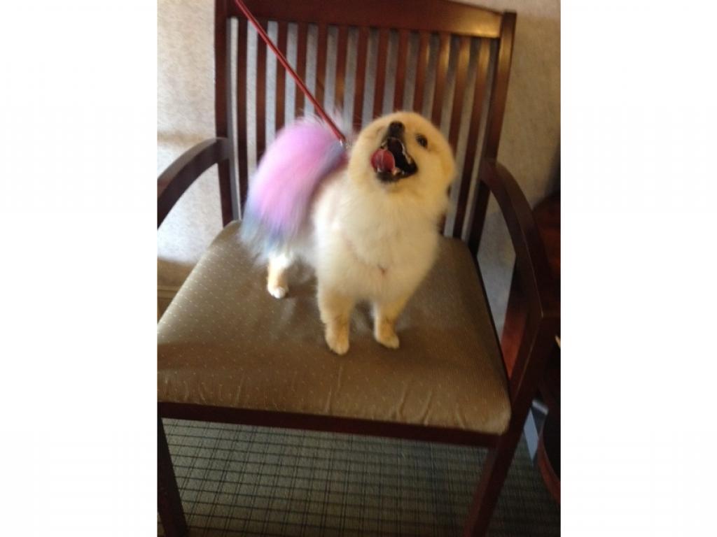 167 Eastern Avenue, Unit 201 Manchester, NH 03104 - Photo 33 of 36