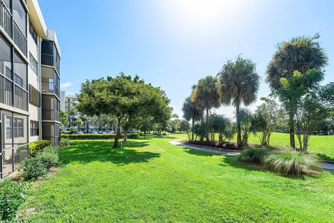 a view of a park with lots of palm trees