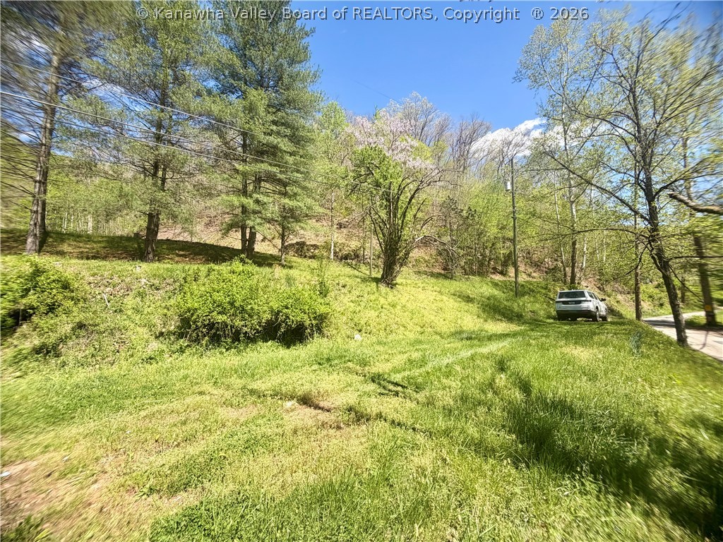 469 Tims Frk Road Chapmanville, WV 25508 - Photo 26 of 30 Gallery Image 26