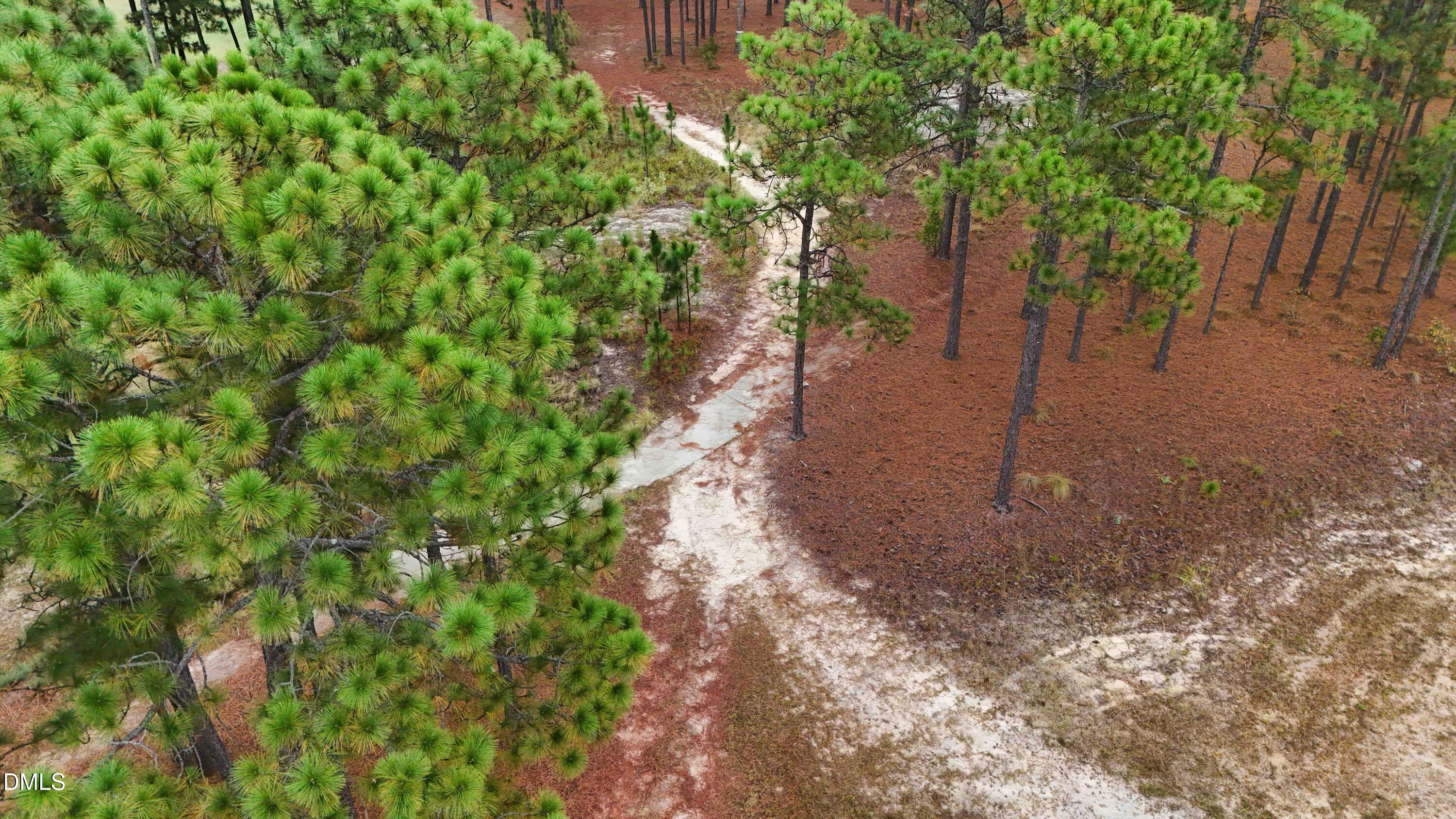 255 Mullingar Drive Carthage, NC 28327 - Photo 53 of 54 46