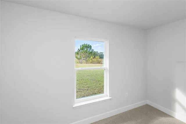 a view of a swimming pool with an outdoor space