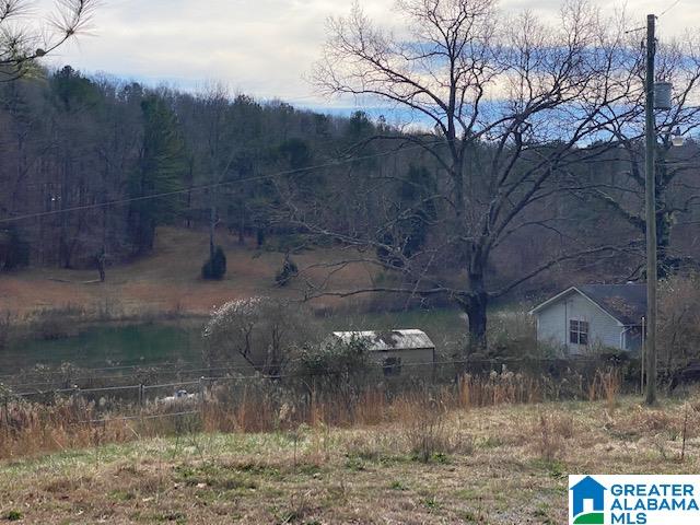 195 Wyatt Lake Road Odenville, AL 35120 - Photo 12 of 16