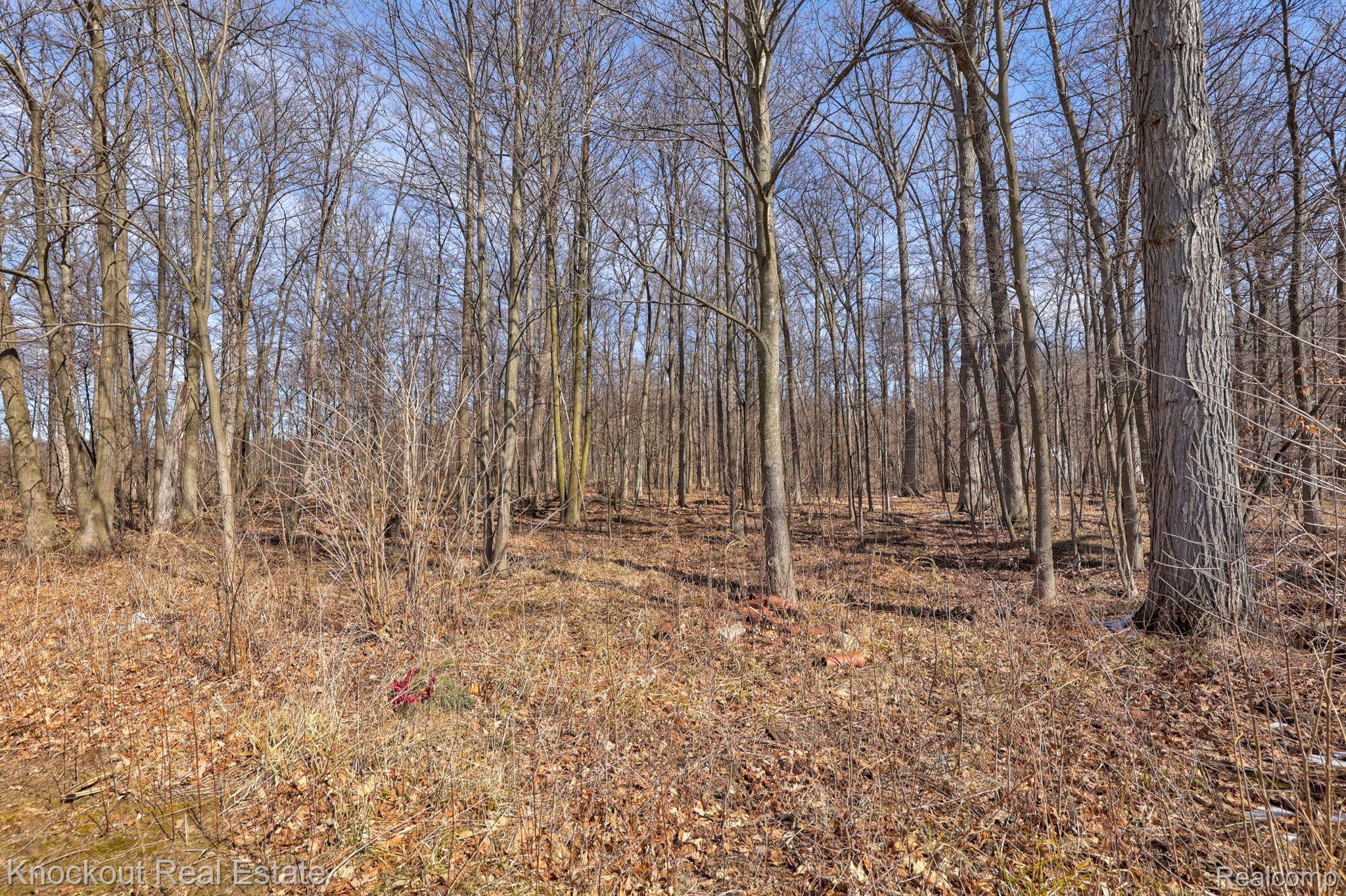 10305 South Beyer Road Birch Run, MI 48415 - Photo 42 of 62 Gallery Image 42