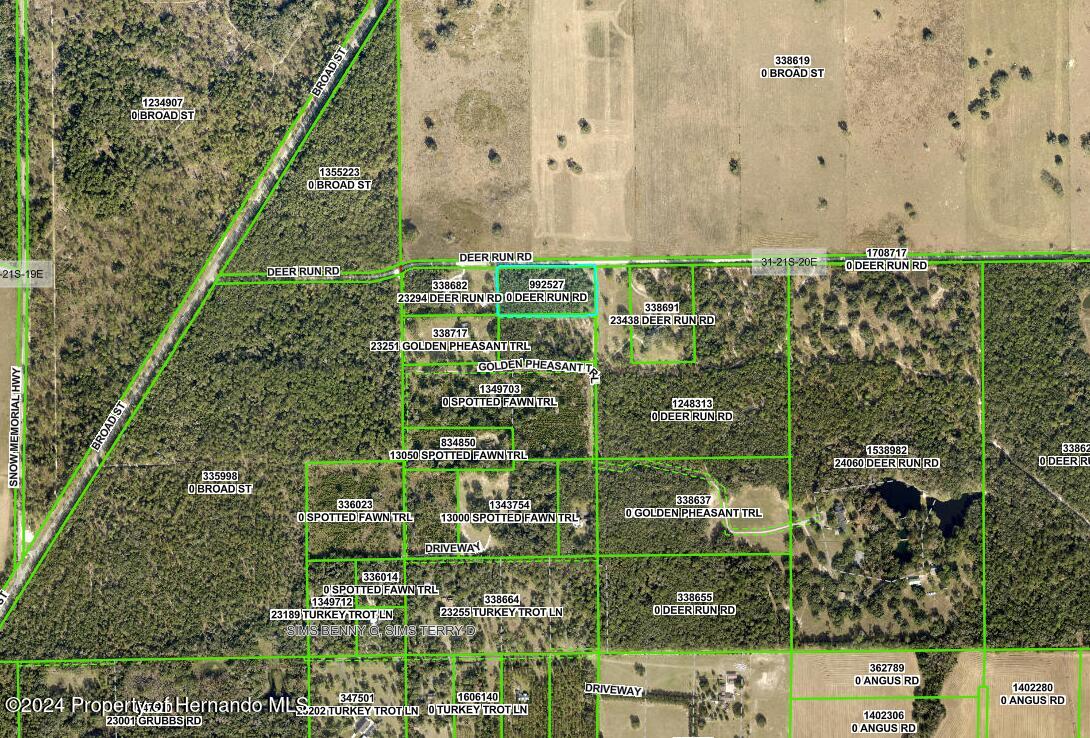 0 Deer Run Road Brooksville, FL 34601 - Photo 12 of 17 a view of small garden