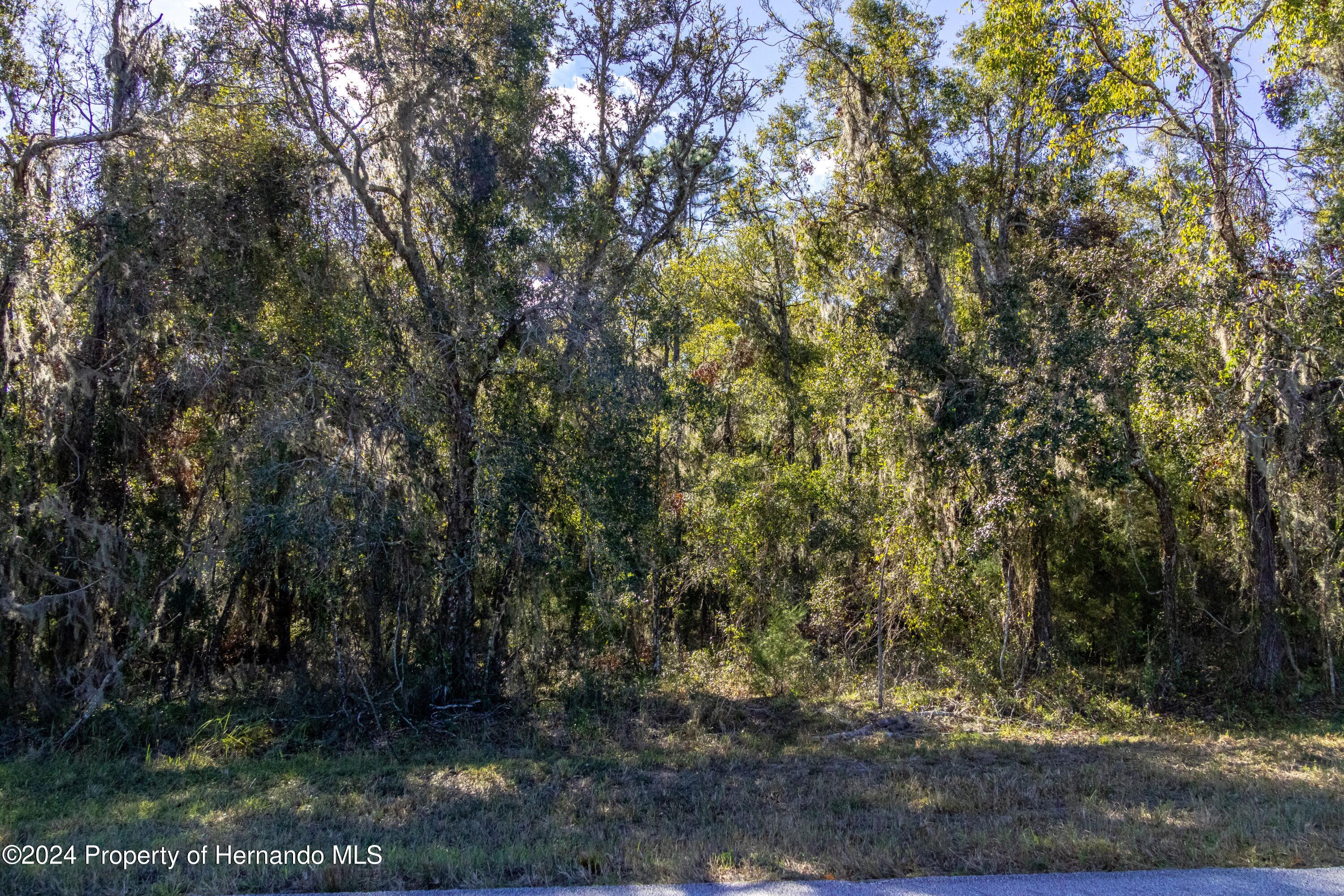 0 Deer Run Road Brooksville, FL 34601 - Photo 15 of 17 a view of a yard