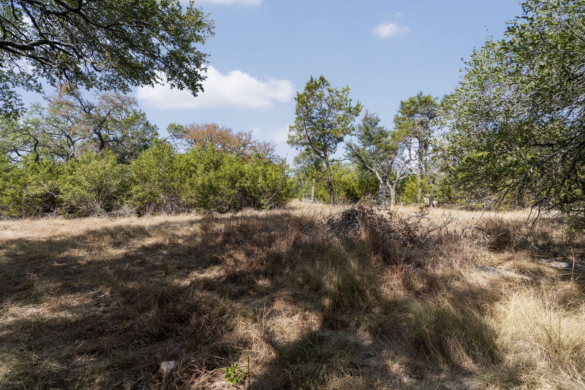 1930 South Rainbow Ranch Road Wimberley, TX 78676 - Photo 14 of 40