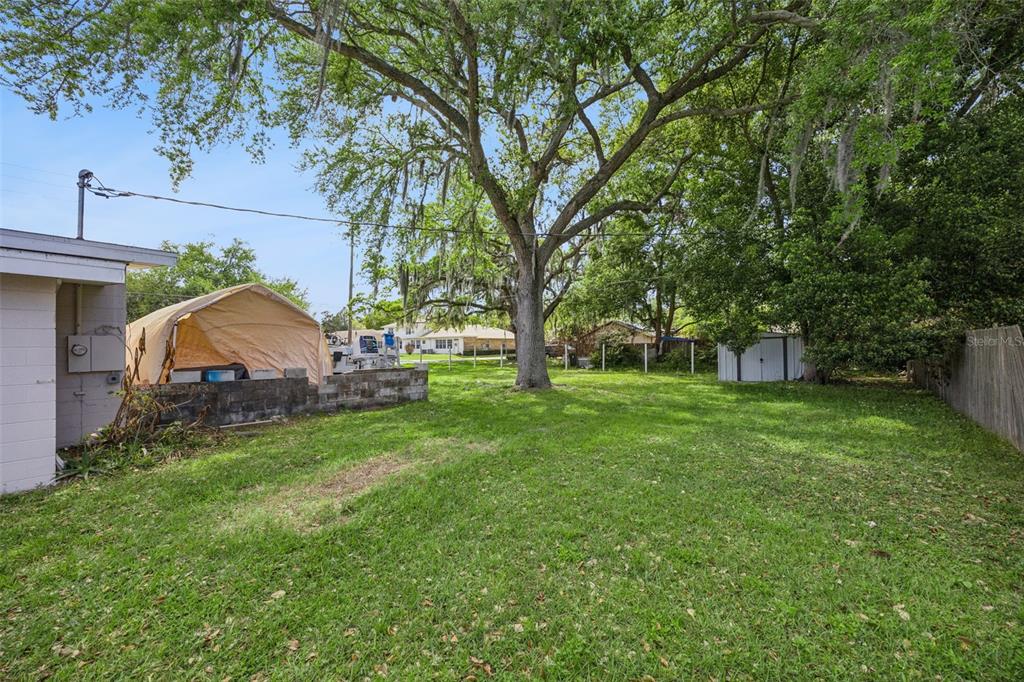 700 9th Street St. Cloud, FL 34769 - Photo 51 of 78 a view of a backyard with large trees