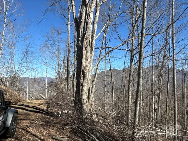 $30,000 | 0 Debbies Loop, Unit 38, Bakersville, NC 28705