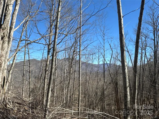 $30,000 | 0 Debbies Loop, Unit 38, Bakersville, NC 28705