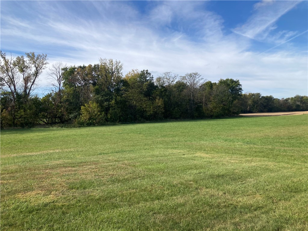 5101 North Passport Road Noble, IL 62868 - Photo 4 of 23 Gallery Image 4