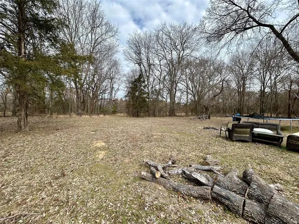 a view of backyard with trees