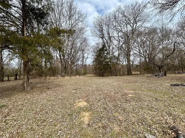 a view of outdoor space with trees