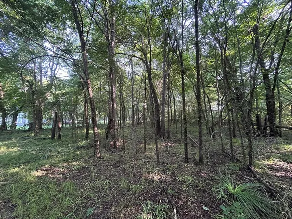 a view of outdoor space with lots of trees