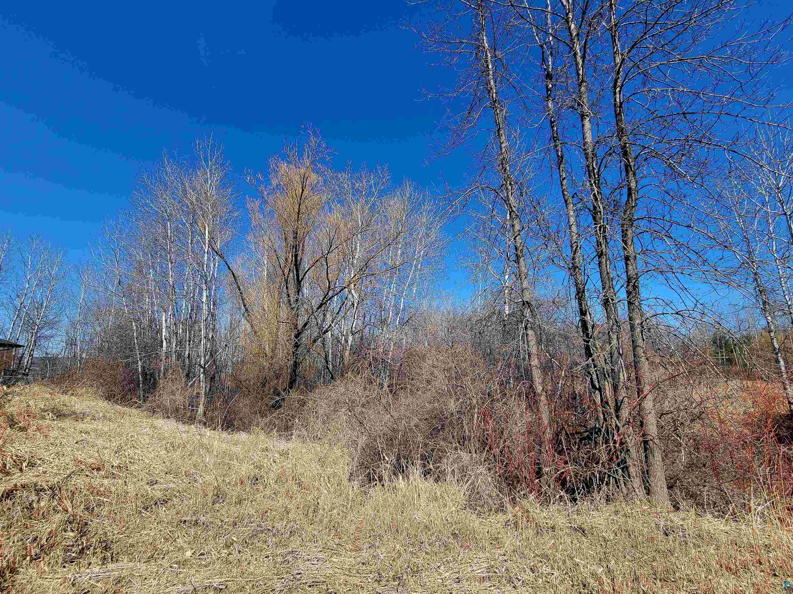 Prentice Heights Road Ashland, WI 54806 - Photo 8 of 9 View of local wilderness