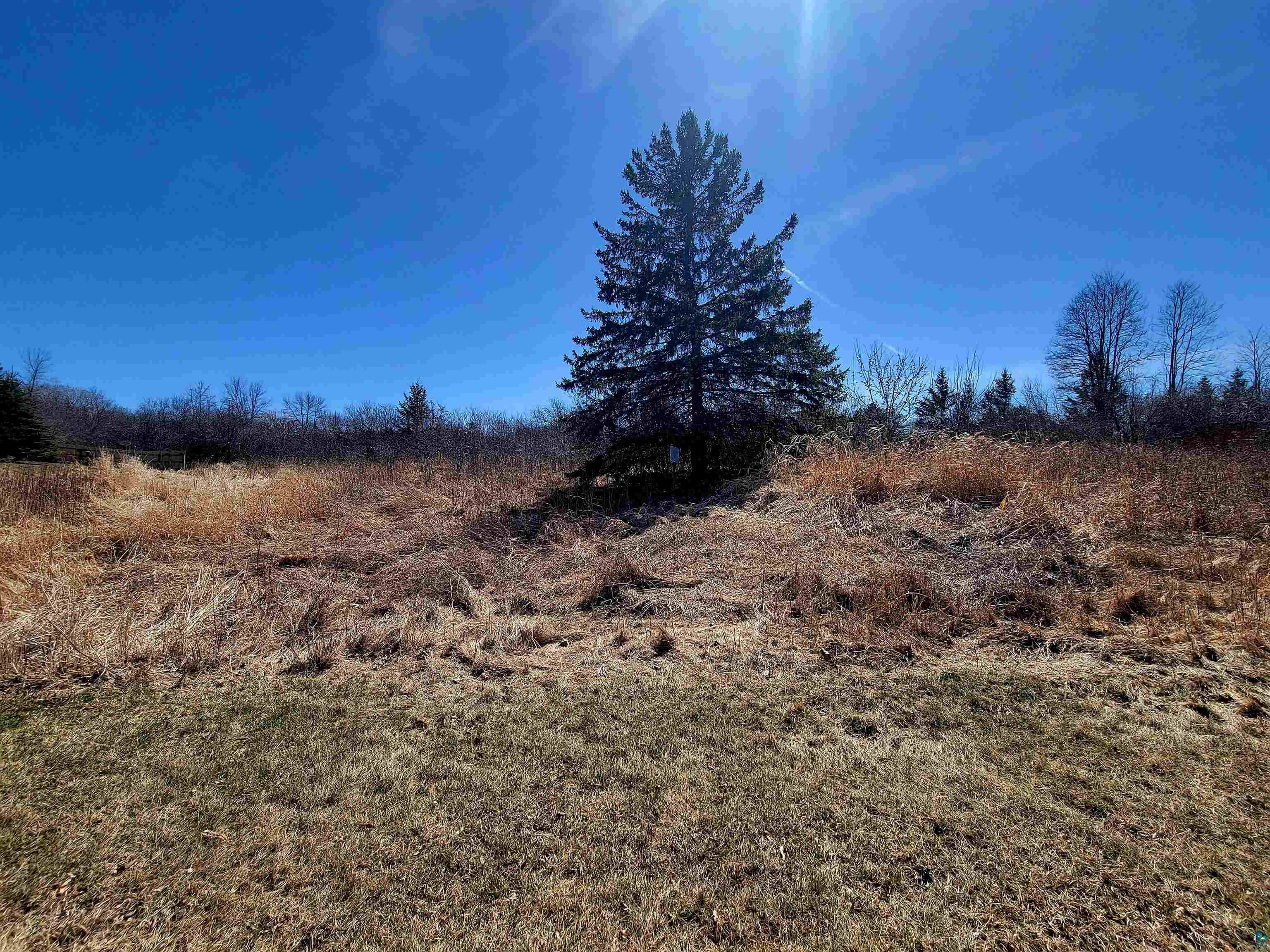 Prentice Heights Road Ashland, WI 54806 - Photo 9 of 9 View of nature