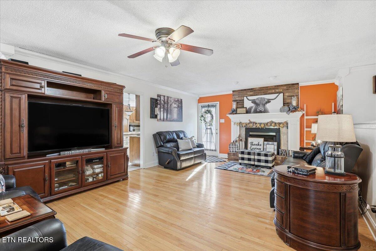 4924 West Emory Road Powell, TN 37849 - Photo 4 of 36 Living Room