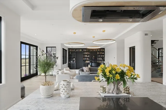 a living room with furniture and potted plant