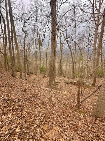 a view of covered with snow