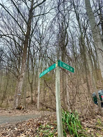 a yellow and green field with trees in front of it