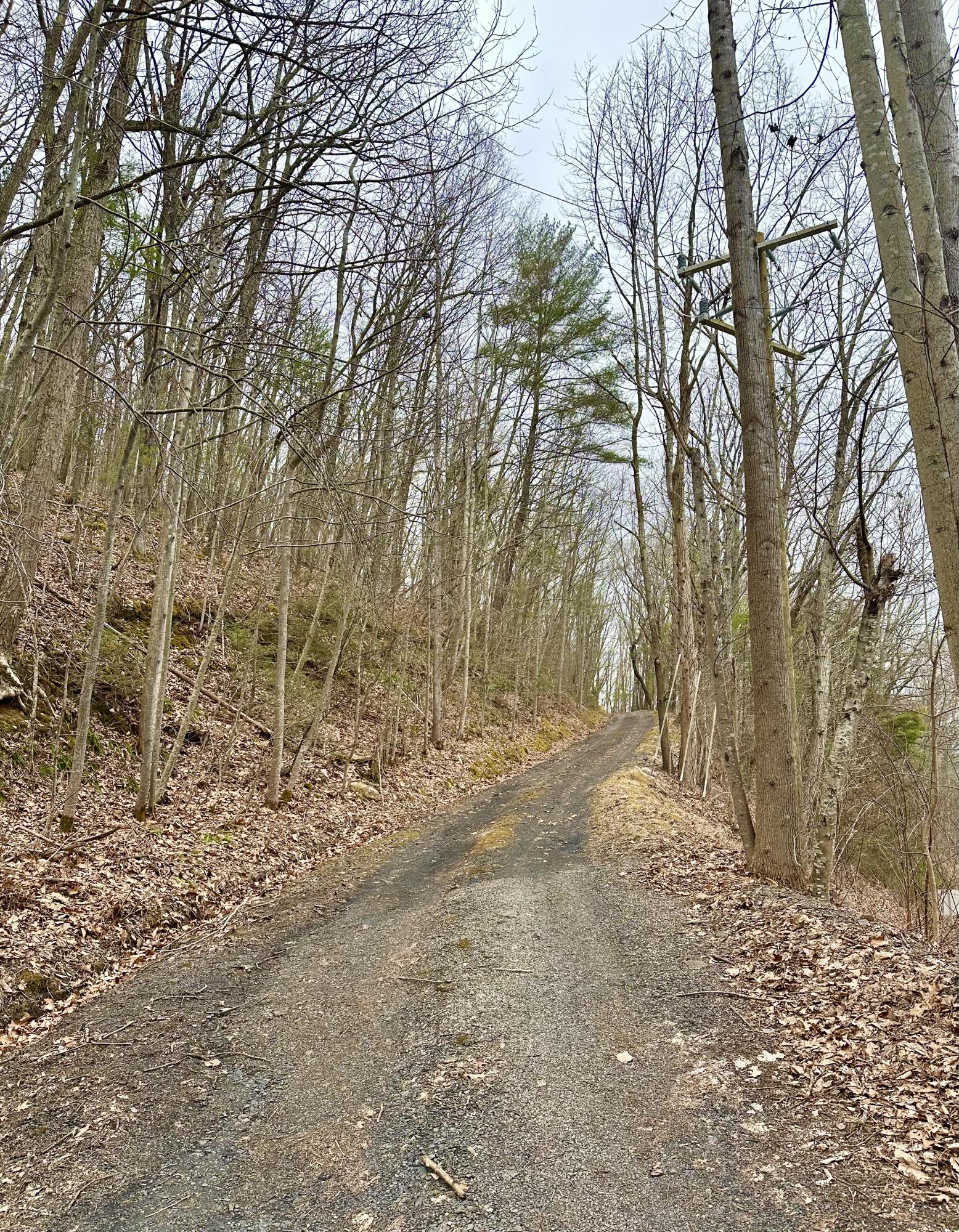 0 Taylor Lane Covington, VA 24426 - Photo 6 of 10 a view of dirt yard with trees