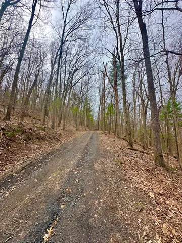 a view of backyard with large trees