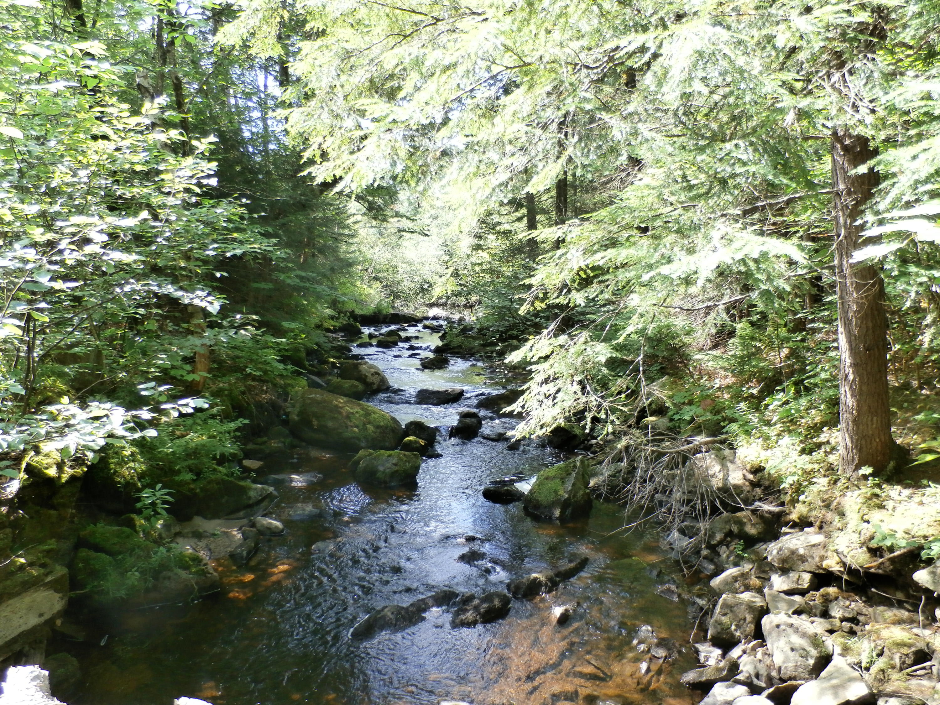 1021 South Arm Road Andover, ME 04216 - Photo 20 of 58 P8090043