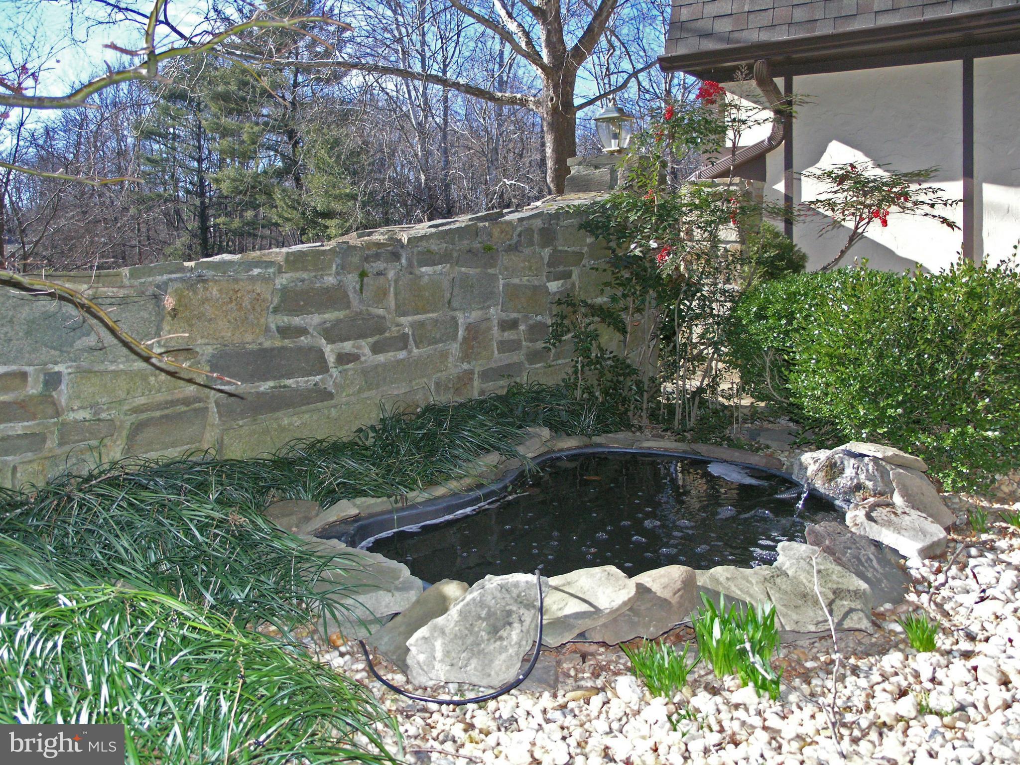 9918 Meadowlark Road Vienna, VA 22182 - Photo 5 of 30 Garden and Pond Courtyard