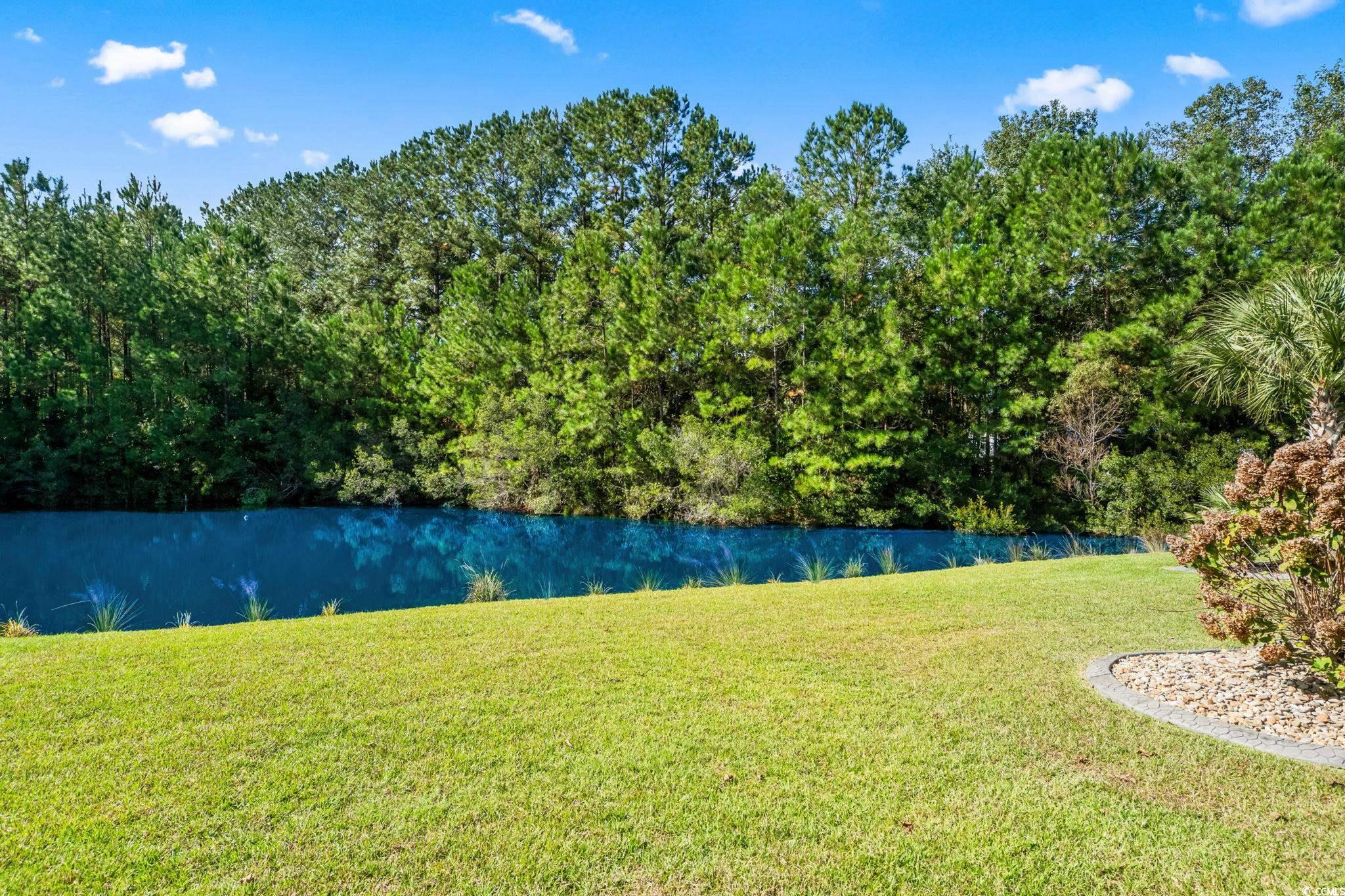 235 Belclare Way Longs, SC 29568 - Photo 24 of 40