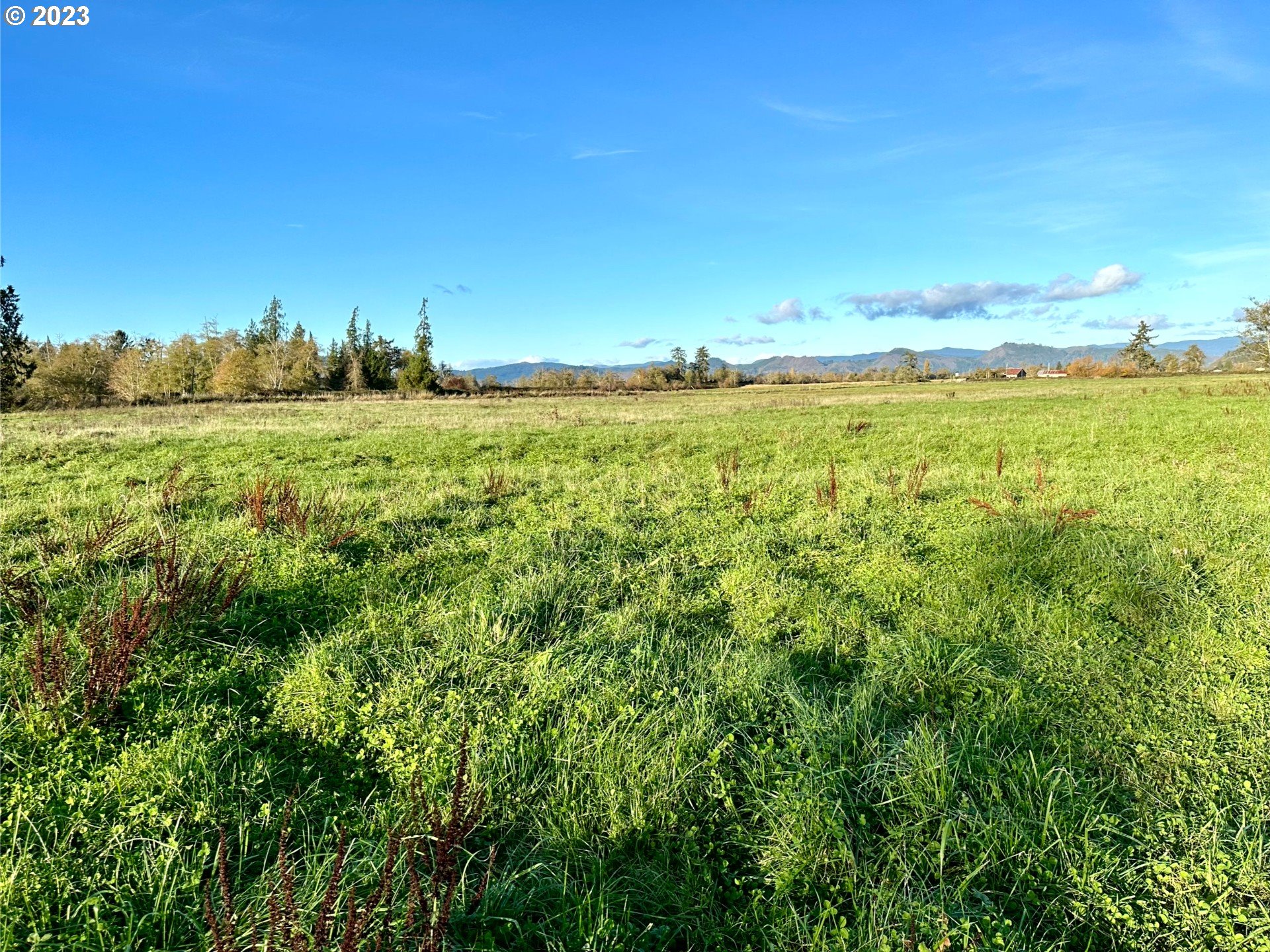 Jackson Road Astoria, OR 97103 - Photo 24 of 27 Gallery Image 24