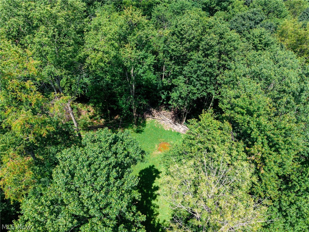 Richards Rd Road Cambridge, OH 43725 - Photo 5 of 46