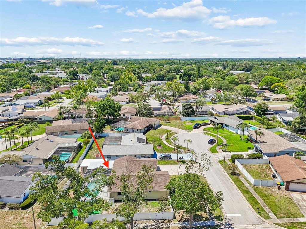 2959 Maple Court Dunedin, FL 34698 - Photo 13 of 63