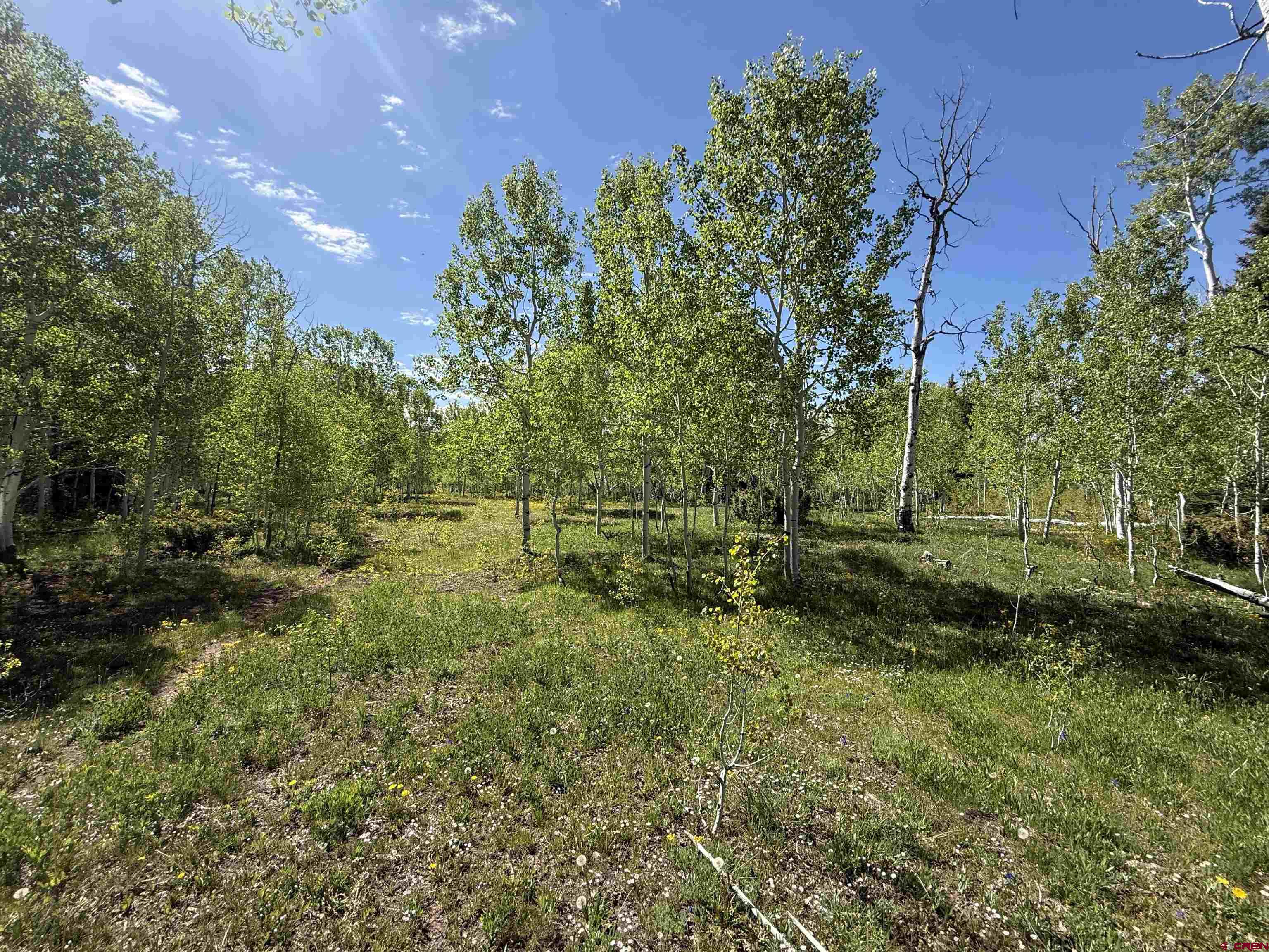 Tbd Divide/ Davewood Road Montrose, CO 81403 - Photo 7 of 8