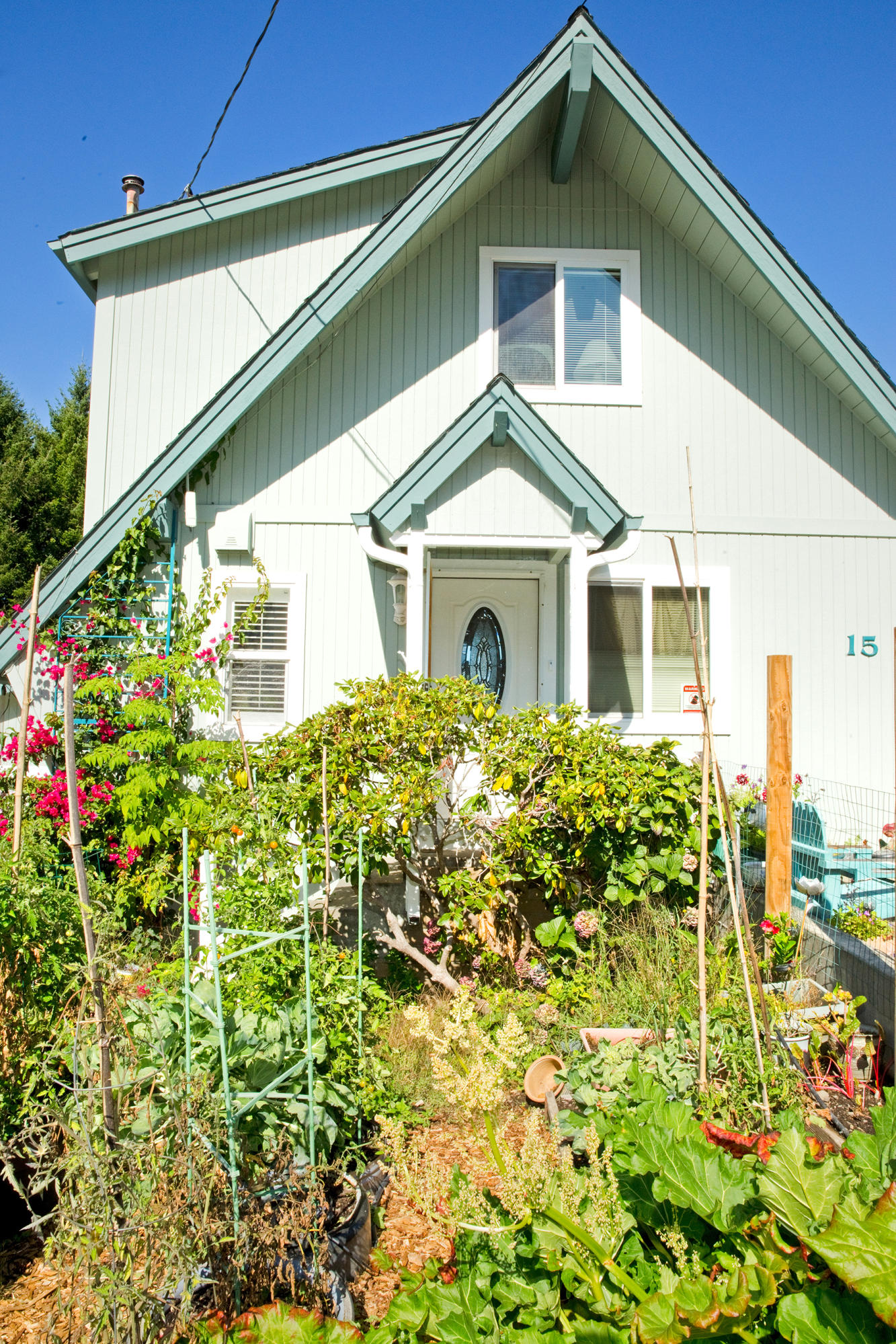 15 Spring Road Shelter Cove, CA 95589 - Photo 20 of 24 043-web