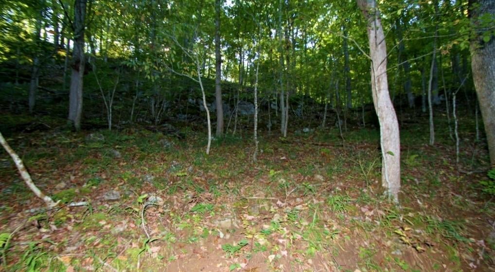 Fullen Rd Union Union, WV 24983 - Photo 9 of 17 Gallery Image 9