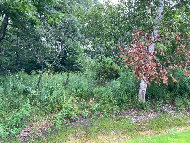 $62,000 | 0 Orchard Lane, Hope, ME 04847