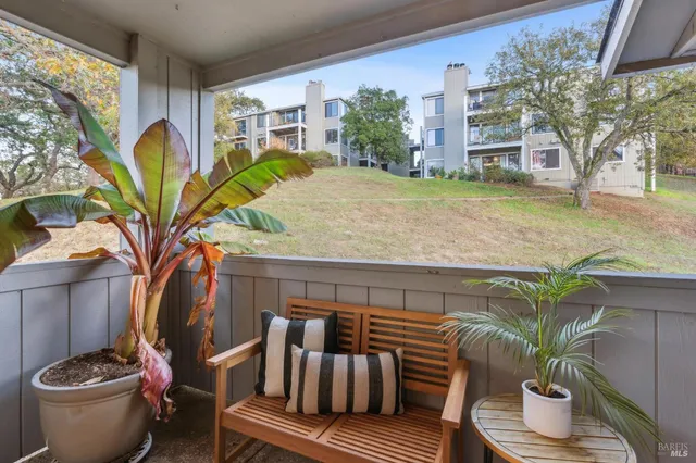 a view of a chairs and table in the patio