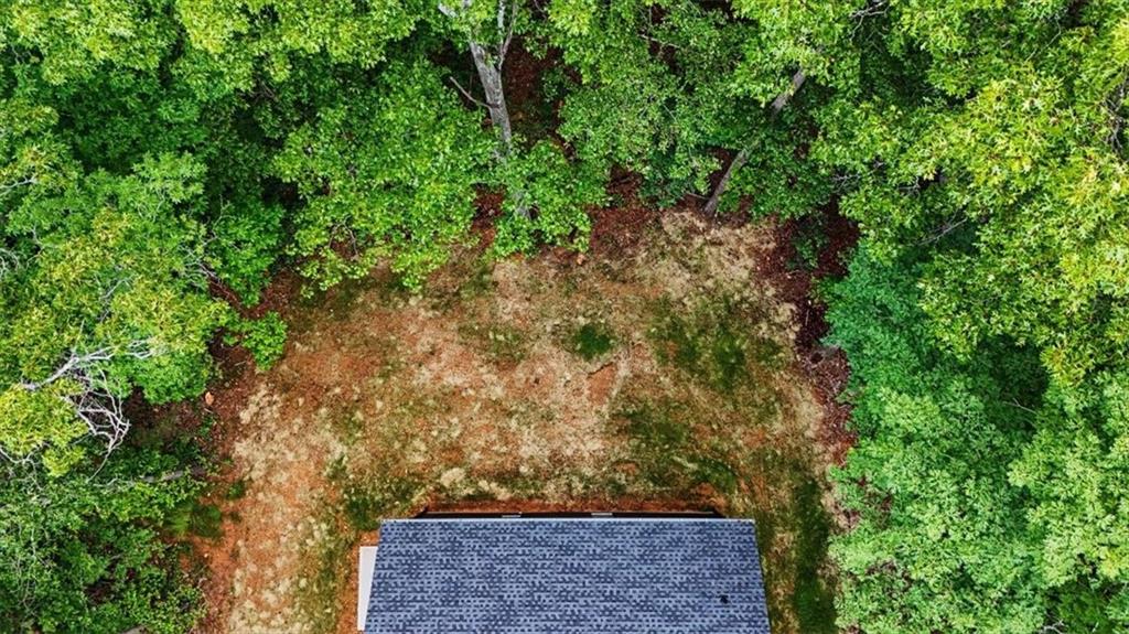 233 Old Old Alabama Road Southeast Emerson, GA 30137 - Photo 44 of 49 a view of a yard