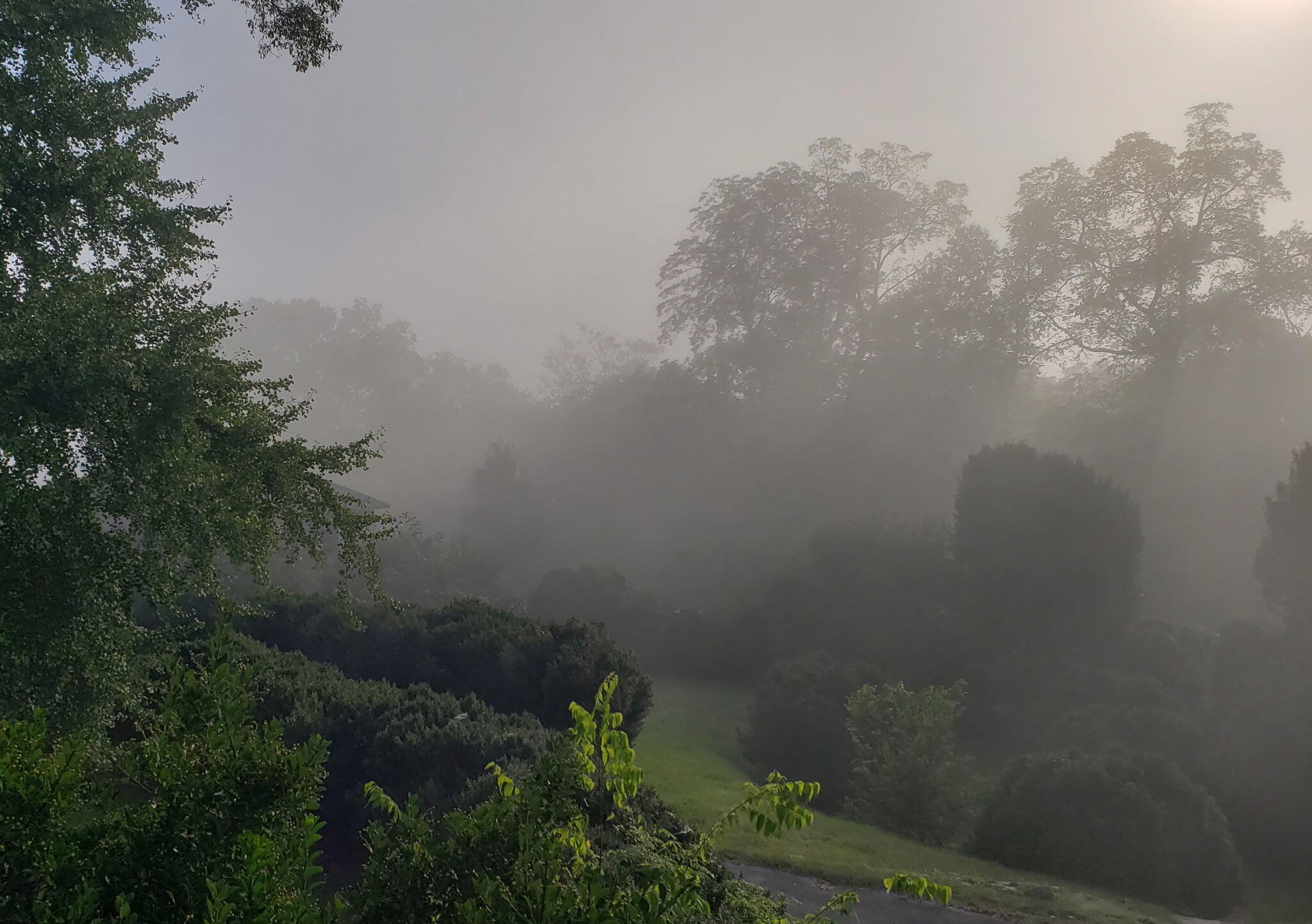 680 South Crest Road Chattanooga, TN 37404 - Photo 64 of 65 1685791695671915373