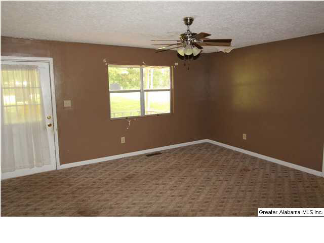 671 Black Snake Road Munford, AL 36268 - Photo 10 of 17