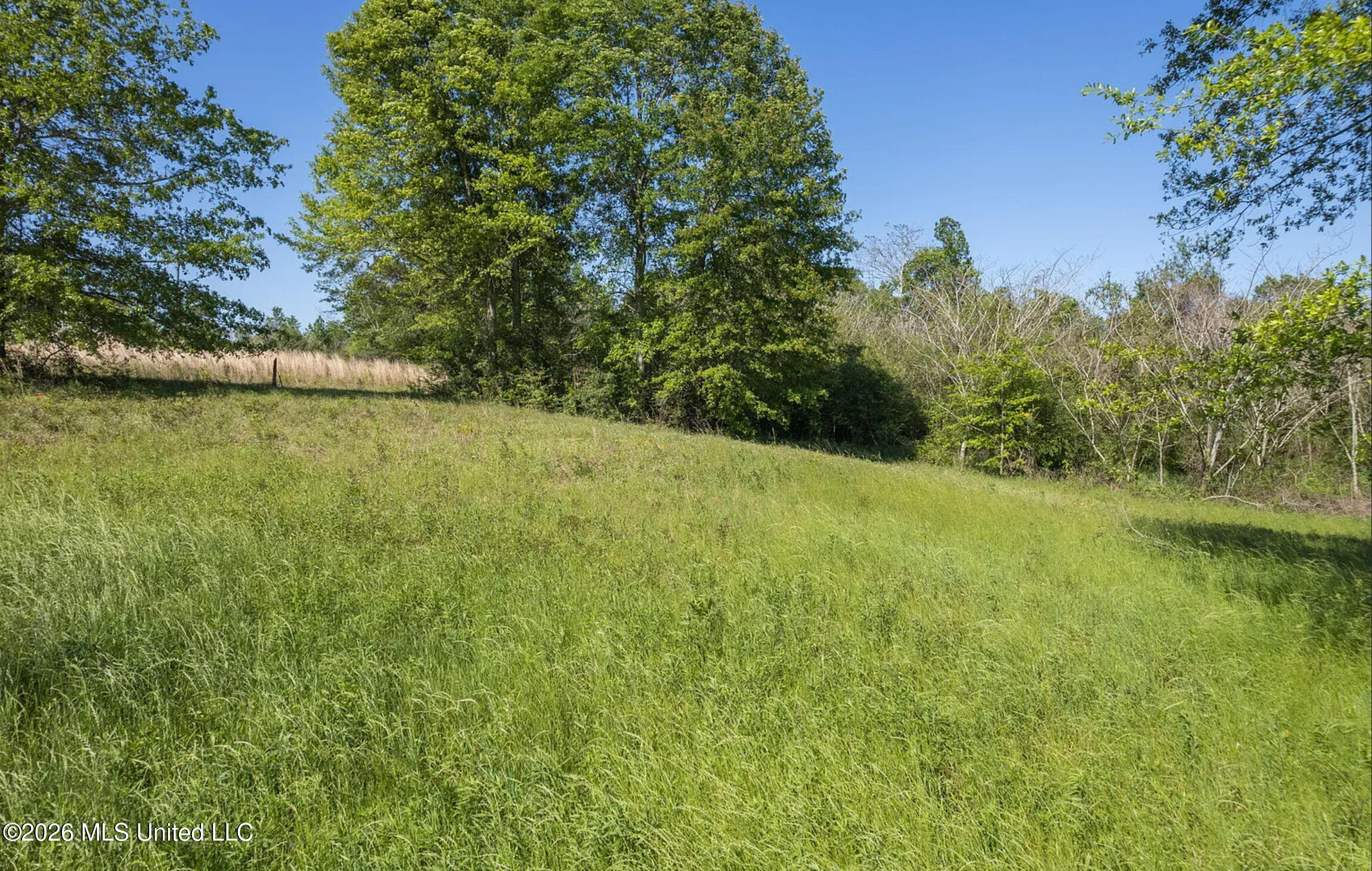 Pine View Road Collins, MS 39428 - Photo 8 of 10 2026-09-14_08-53-56