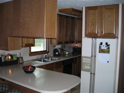 1680 Haynor Road Ionia, MI 48846 - Photo 5 of 8 Additional Photo