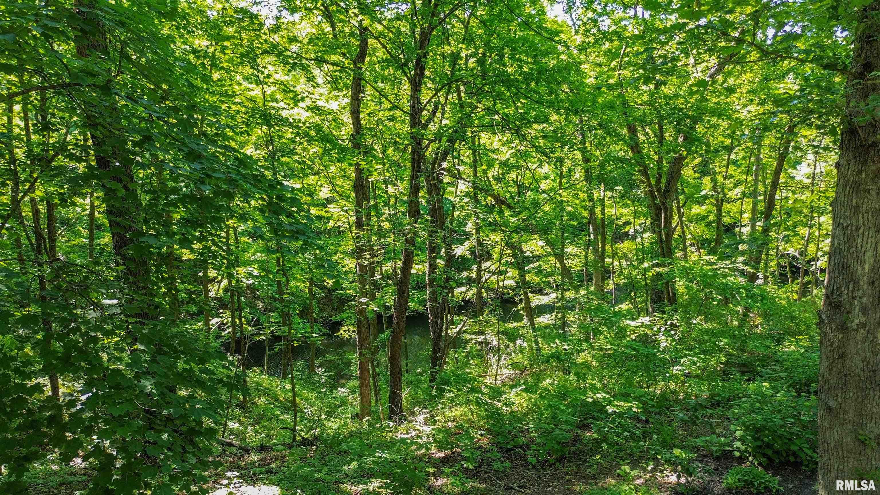 1323 East Truitt Road Chillicothe, IL 61523 - Photo 88 of 96