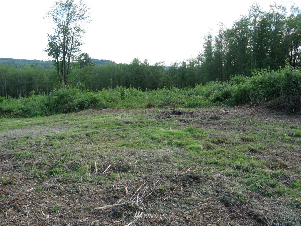 0 View Ridge Road Onalaska, WA 98570 - Photo 2 of 5 Gallery Image 2