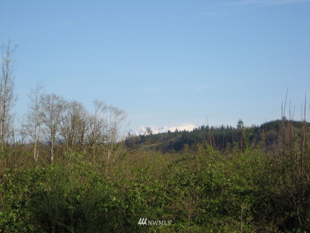 0 View Ridge Road Onalaska, WA 98570 - Photo 3 of 5 Gallery Image 3